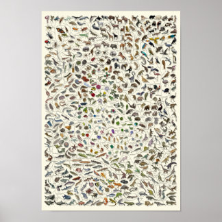 Evolutie - Boom van het Poster van het Leven