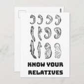 Evolutie Embryogenese Briefkaart (Voorkant / Achterkant)