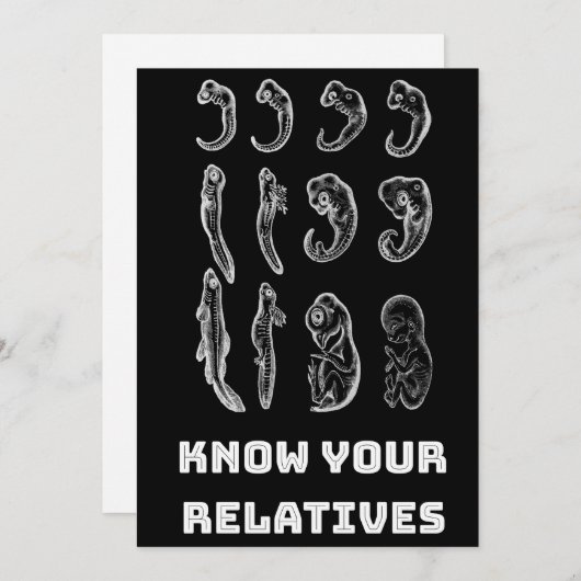 Evolutie Embryogenese Feestdagenkaart (Voorkant / Achterkant)