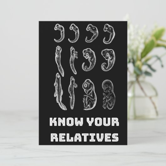 Evolutie Embryogenese Feestdagenkaart (Staand voorkant)