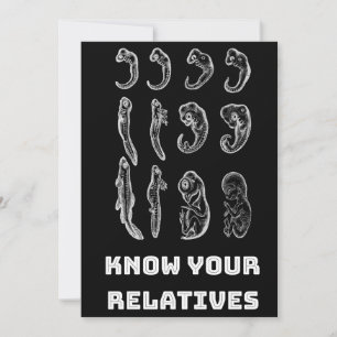 Evolutie Embryogenese Feestdagenkaart