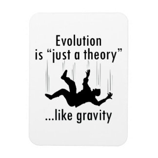 Evolutie is slechts een magneet van de theorie