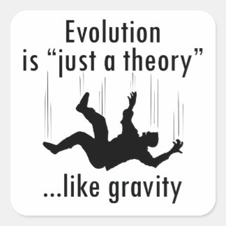 Evolutie is slechts een theoretische sticker