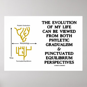 Evolutie Phyletic Gradualism Punctuated equilibrm Poster