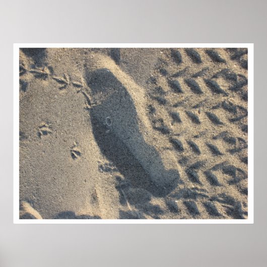 evolutie poster (Voorkant)