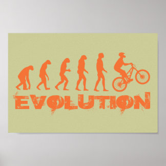 Evolutie Poster