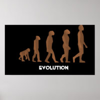 Evolutie-Posters