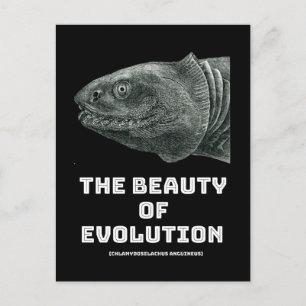 Evolutie schoonheid haai briefkaart