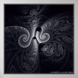 EVOLUTIE VAN DARWIN POSTER