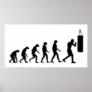 Evolutie van de boxing poster
