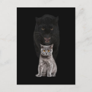 Evolutie van de zwarte kat Panther Animal Cute Briefkaart
