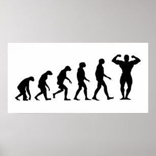Evolutie van het Bodybuilding Poster