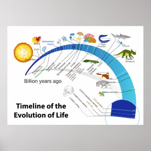 Evolutie van het leven op het diagram van de aardt poster