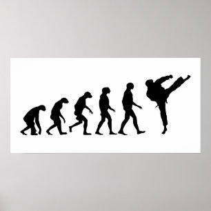 Evolutie van Karate Poster