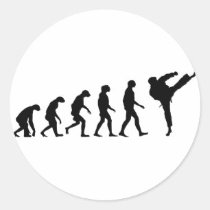 Evolutie van Karate Ronde Sticker