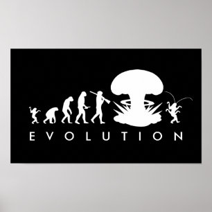 Evolutie van Man & Cockroach Funny Evolution Chart Poster
