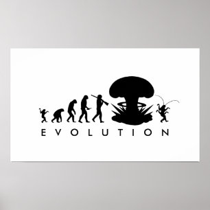 Evolutie van Man & Cockroach Funny Evolution Chart Poster
