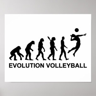 Evolutie Volleyball Poster