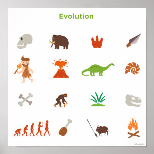 Evolutiepatroon Poster