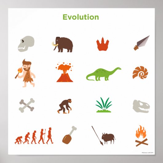 Evolutiepatroon Poster (Voorkant)