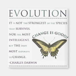 Evolutieverandering Magneet