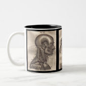 Evolution Anatomy Mug Pour le professionnel Médica (Gauche)
