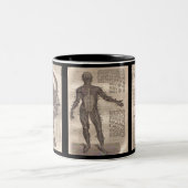 Evolution Anatomy Mug Pour le professionnel Médica (Centre)