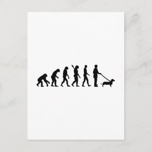 Evolution Dachshund Briefkaart