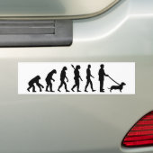 Evolution Dachshund Bumpersticker (Op auto)