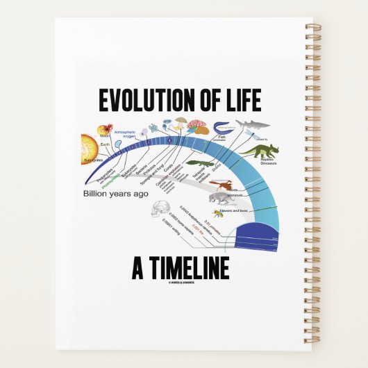Évolution De La Vie Un Calendrier Biologique (Dos)
