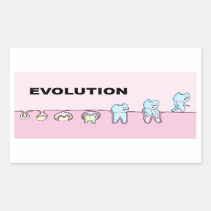 Evolution Dentistry Sticker