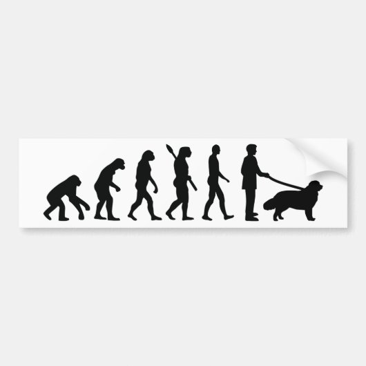 Evolution Newfoundland Bumpersticker (Voorkant)