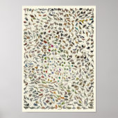 Evolution - Poster de l'Arbre de Vie (Devant)