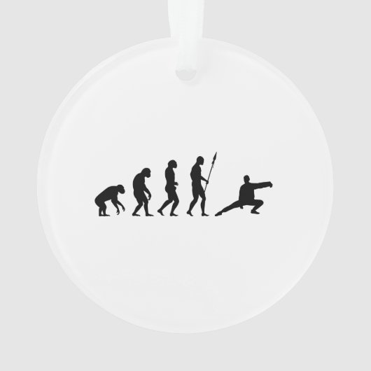 évolution tai chi (dos)
