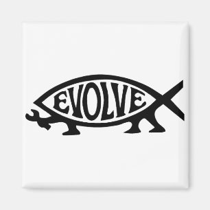 Evolve Fish Magneet