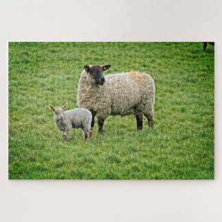 Ewe en Lamb Legpuzzel