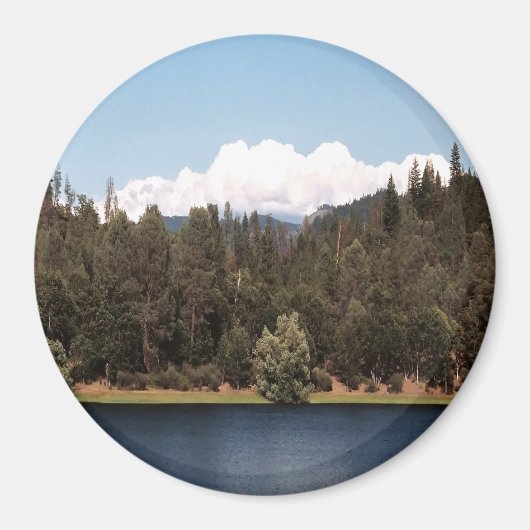 Ewing Reservoir in het voorjaar....... Magneet (Voorkant)