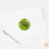 Ex libris Green June Stickers Beetle (Enveloppe)