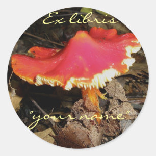 Ex Libris Red Mushroom-stickers om deze aan te pas Ronde Sticker