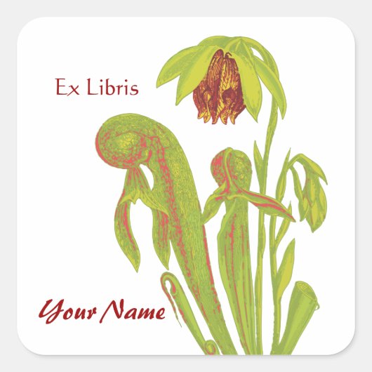 Ex Libris Stickers Plante Pitcher (Devant)