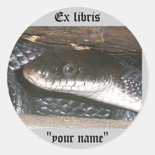 Ex Libris Stickers Serpent Noir à Customiser (Devant)