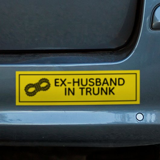 "EX-MAN IN KOFFER" Grappig Bumpersticker