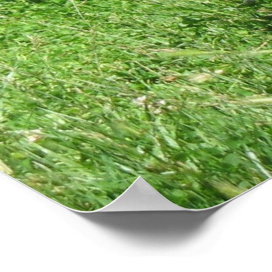 Exceptionnel Dans son champ Photo Impression (Coin)
