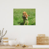 Exceptionnel Dans son champ Photo Impression (Cuisine)