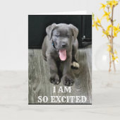 EXCITÉ/OBTENIR SA BOUCHE SUR LA CARTE "TU ES 40" (Fleur jaune)