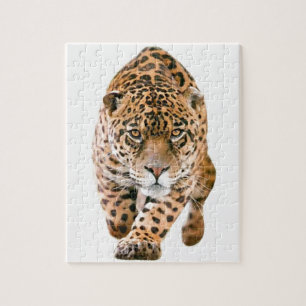 Exclusieve speciale jaguar-ogen legpuzzel