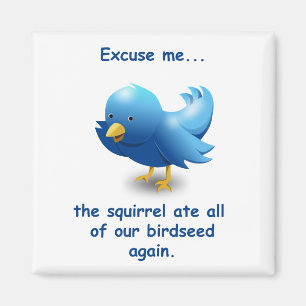 Excuseer me….de eekhoorn at elk van ons vogelzaa magneet
