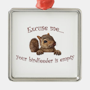 Excuseer me...je geboorte is leeg metalen ornament
