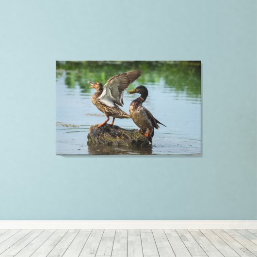 Excuseer mij canvas afdruk (Insitu (Houten vloer))