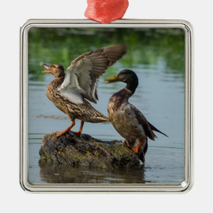 Excuseer mij metalen ornament
